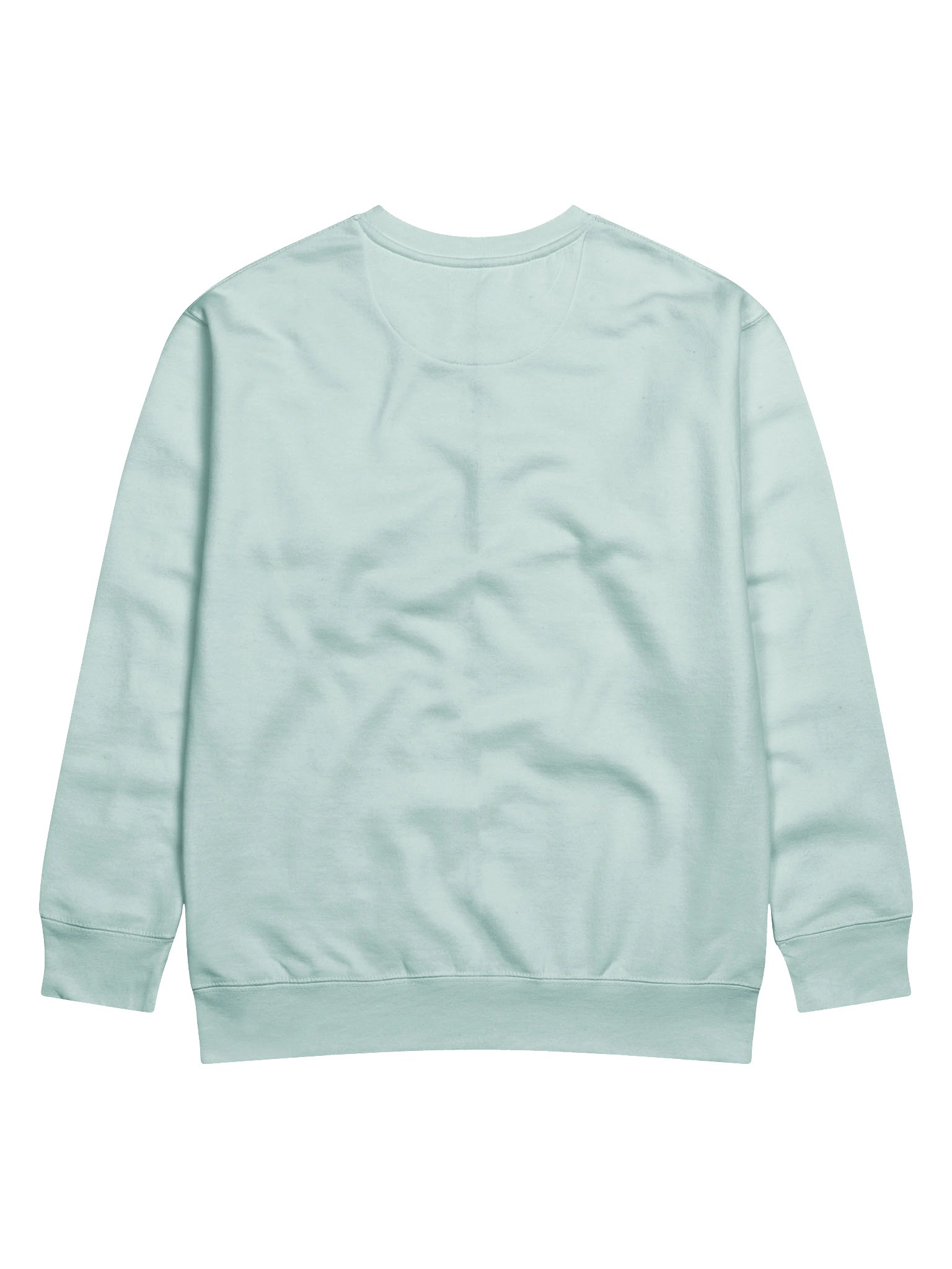 Librarians Vote Sweatshirt - Banned Books product image (4)