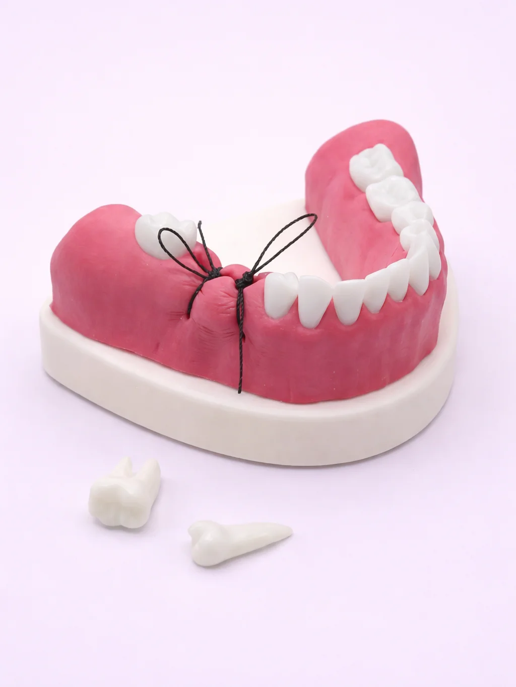 Dental Extraction and Suturing Kits product image (4)