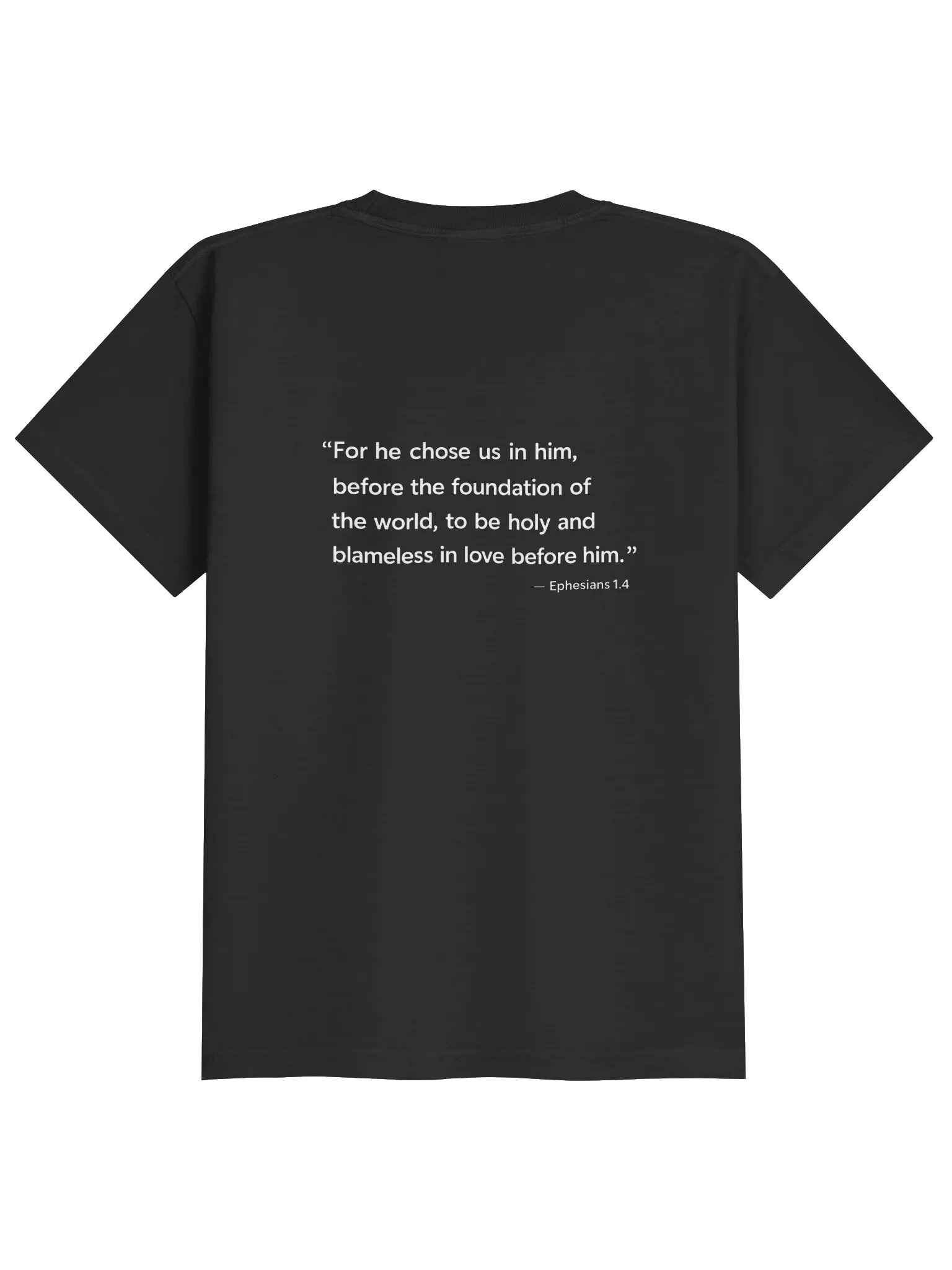 Biblical Truths: Black Chosen Youth product image (2)