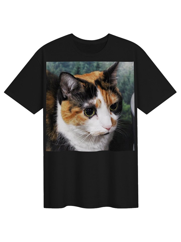 Captain Noodle Shirt product image (1)