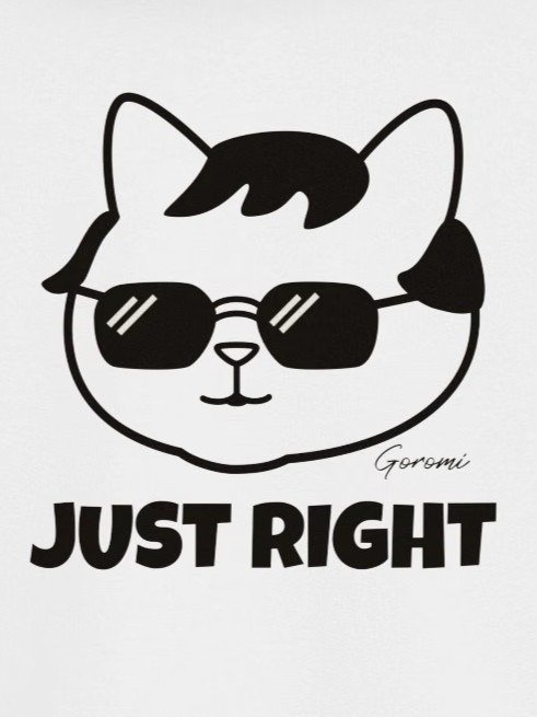 Goromi the Cat (JUST RIGHT) - Unisex Youth Sweatshirt product image (1)