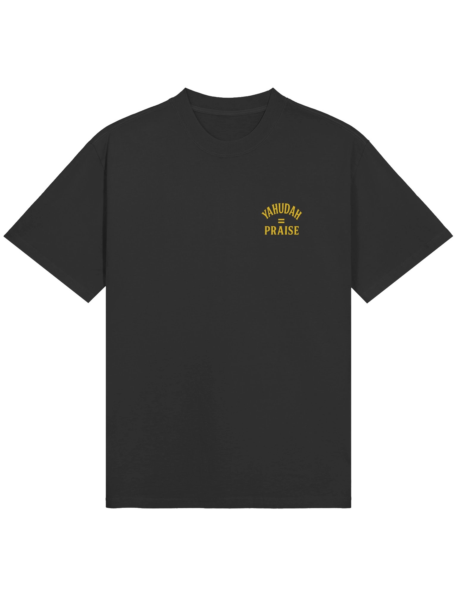 YAHUDAH = PRAISE Oversized Faded Tee product image (11)