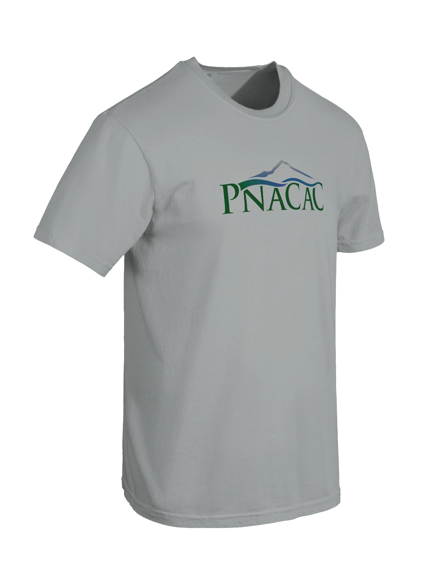 Heavyweight Tee - Color Logo product image (18)