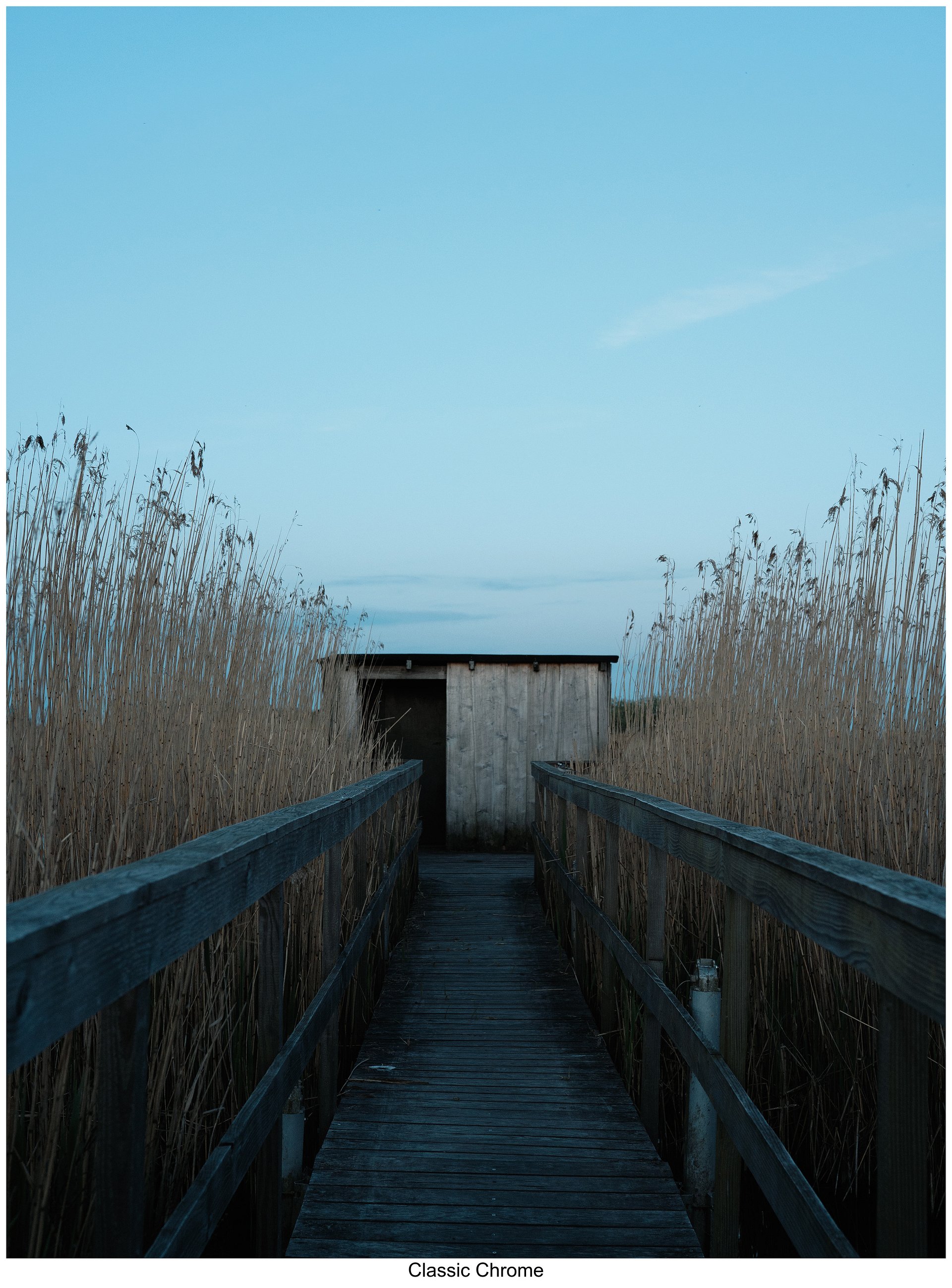 Fujify [Nikon] Lightroom Profile - Classic Chrome product image (2)