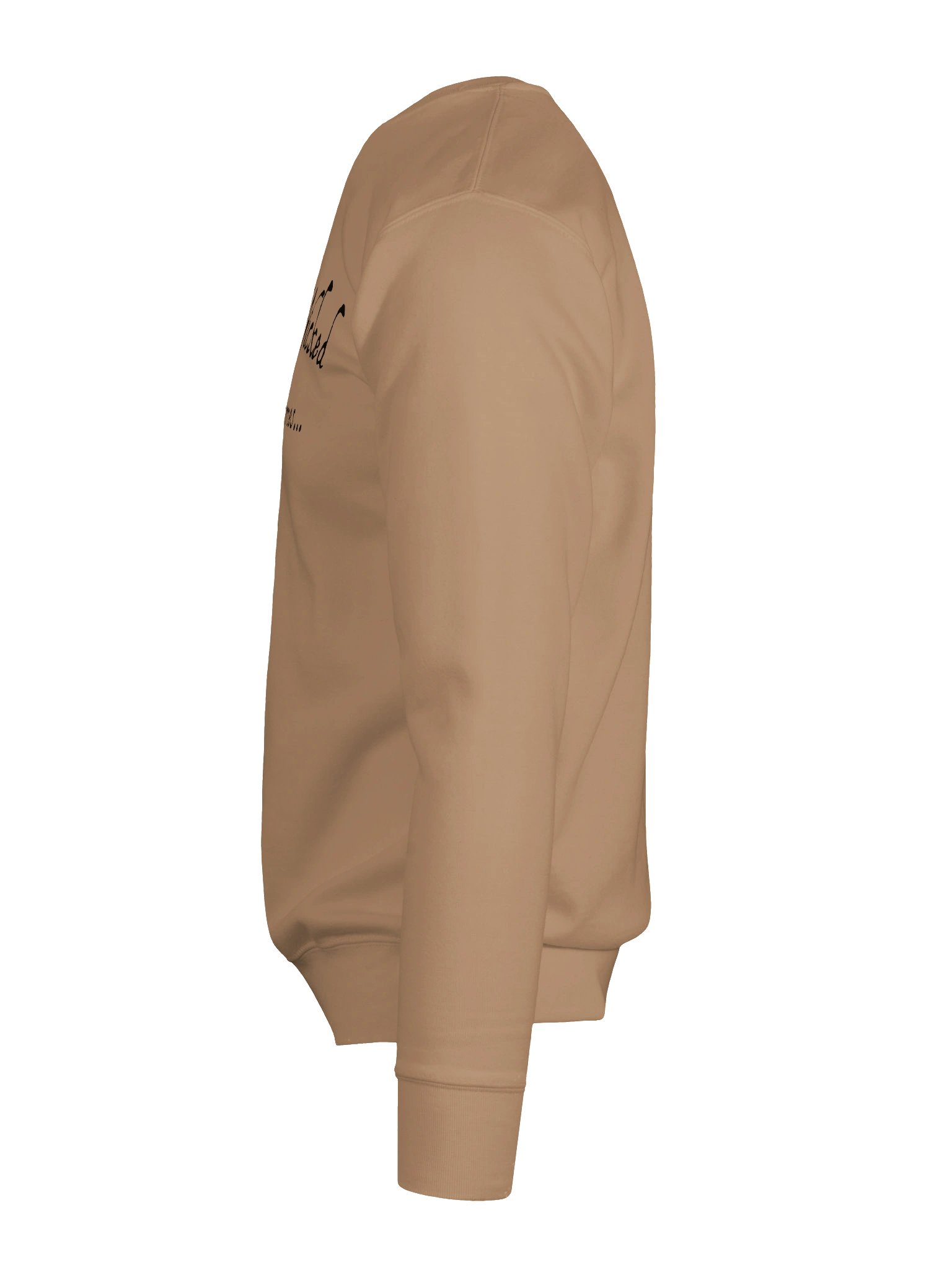 Something Wicked Sweatshirt product image (114)